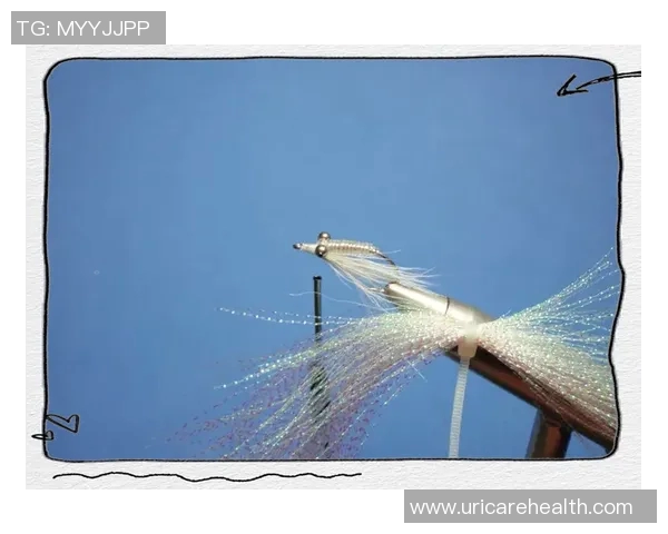 渔具发展历程与创新趋势探索：从传统手工到智能科技的演变分析