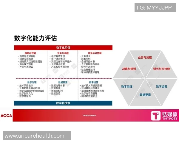 税务数字化转型背景下的政策创新与企业合规发展路径探析